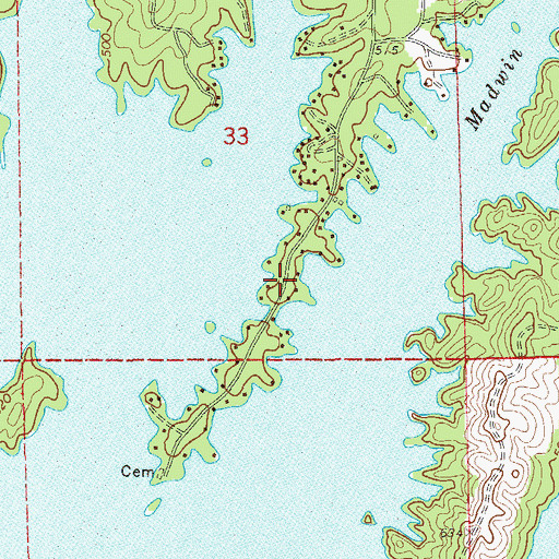 Topographic Map of Piney Point, AL