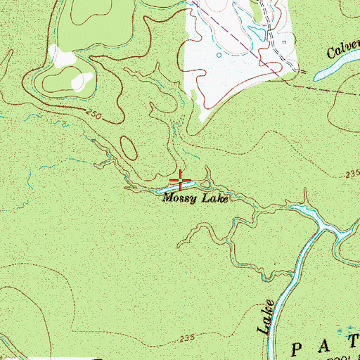 Topographic Map of Mossy Lake, TX