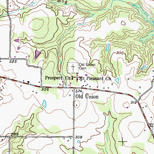 Topographic Map of Mount Pleasant Church, TX