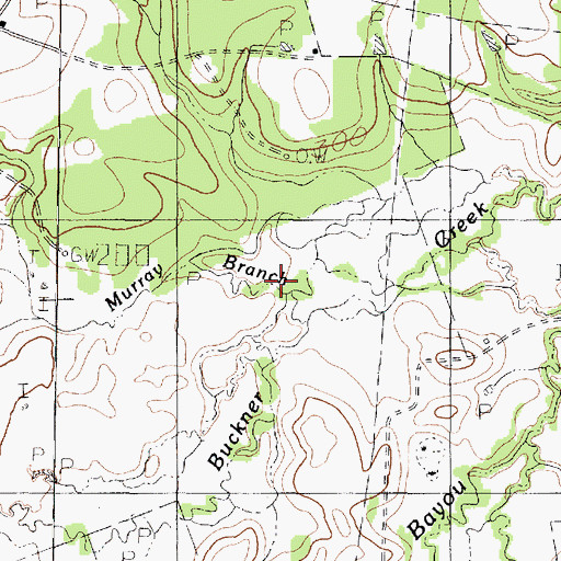 Topographic Map of Murray Branch, TX