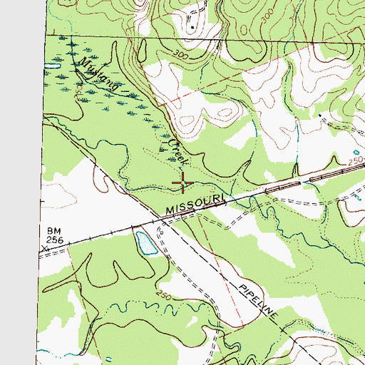 Topographic Map of Mustang Creek, TX