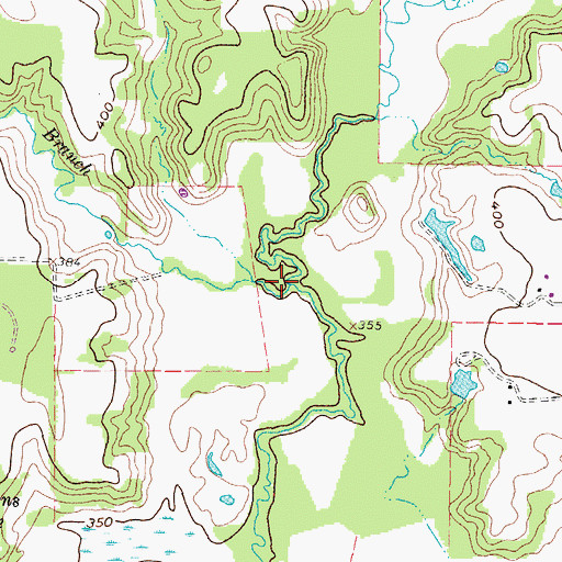 Topographic Map of Myrtle Springs Branch, TX