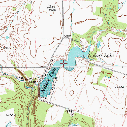 Topographic Map of Nabors Lake, TX