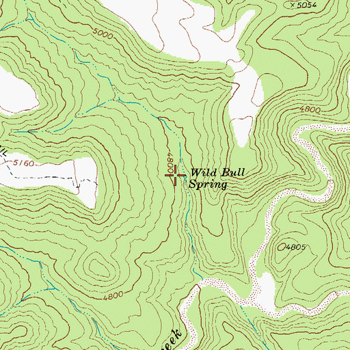 Topographic Map of Wild Bull Spring, AZ