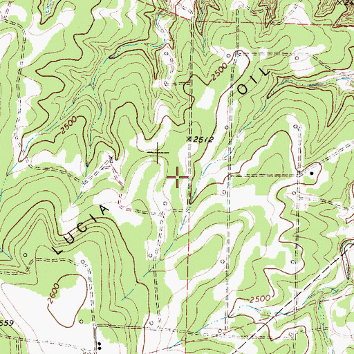 Topographic Map of Nena Lucia Oil Field, TX
