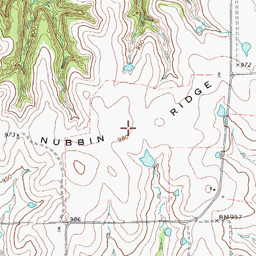 Topographic Map of Nubbin Ridge, TX