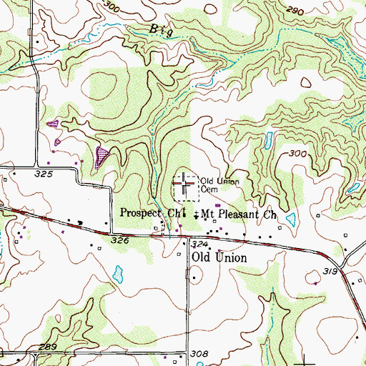 Topographic Map of Old Union Cemetery, TX