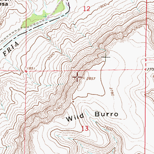Topographic Map of Wild Burro Mesa, AZ