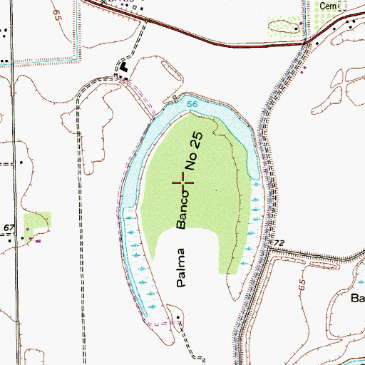 Topographic Map of Palma Banco Number 25, TX