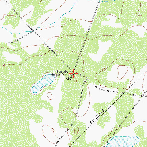 Topographic Map of Papalote de en Medio, TX