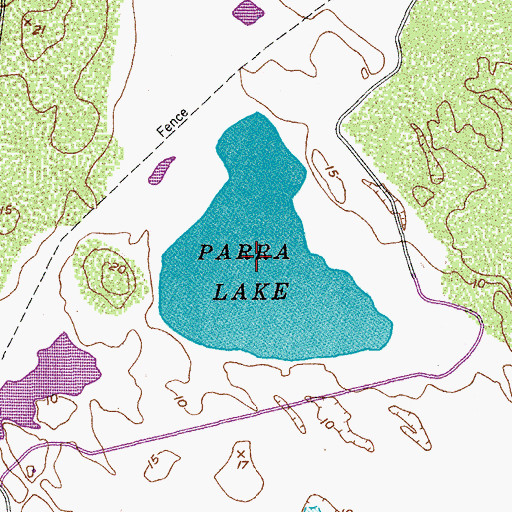 Topographic Map of Parra Lake, TX