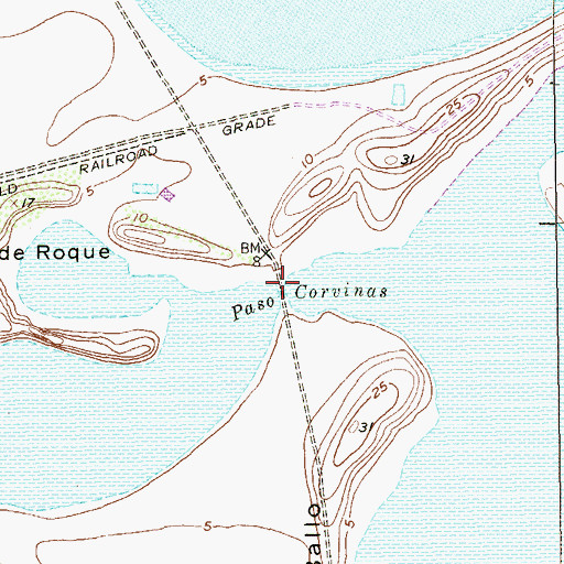 Topographic Map of Paso Corvinas, TX