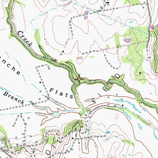 Topographic Map of Pecan Branch, TX