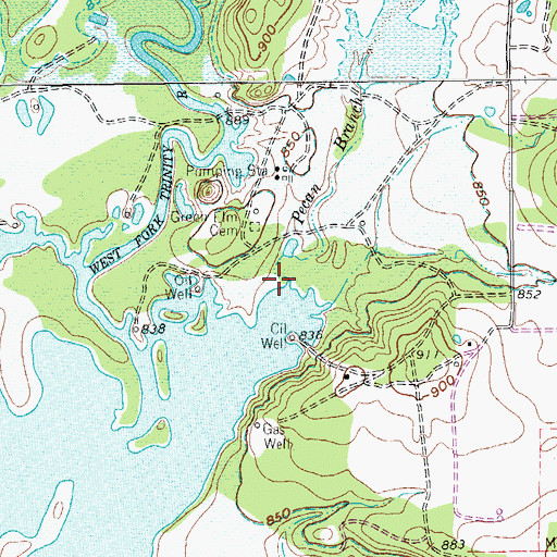 Topographic Map of Pecan Branch, TX