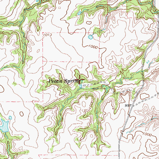 Topographic Map of Pecan Spring, TX