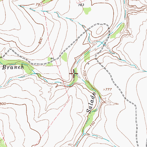 Topographic Map of Pecan Springs Branch, TX