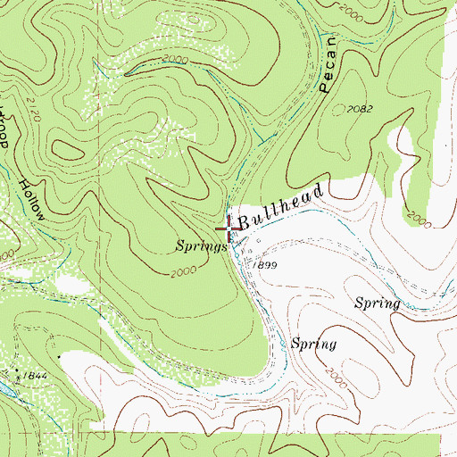 Topographic Map of Pecan Springs Draw, TX