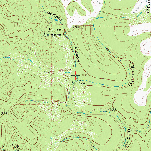 Topographic Map of Pecan Springs Hollow, TX