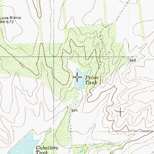 Topographic Map of Pelon Tank, TX
