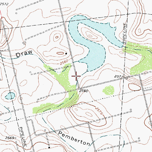Topographic Map of Pemberton Draw, TX
