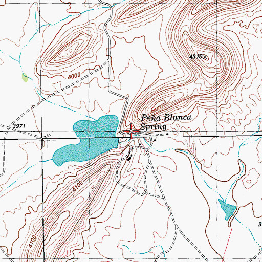 Topographic Map of Pea Blanca Spring, TX
