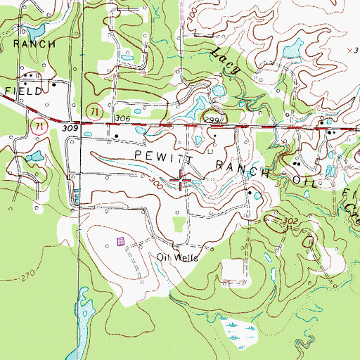 Topographic Map of Pewitt Ranch Oil Field, TX