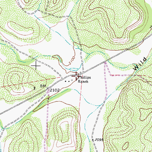 Topographic Map of Phillips Ranch, TX