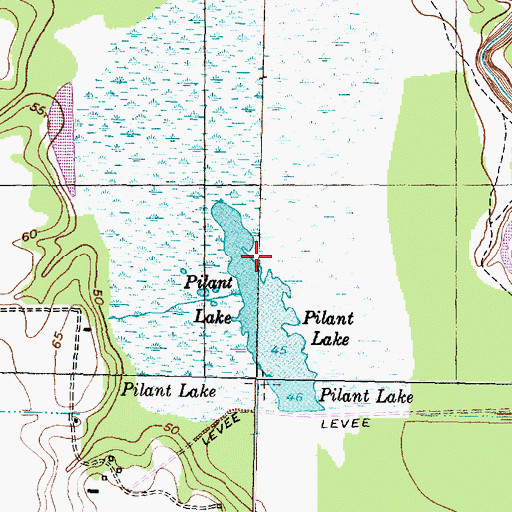 Topographic Map of Pilant Lake, TX