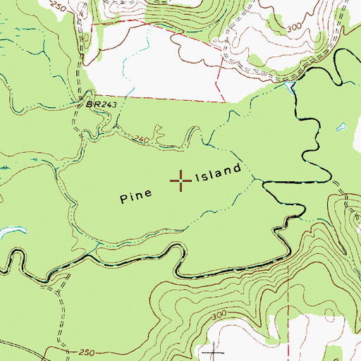 Topographic Map of Pine Island, TX
