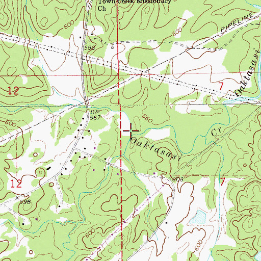 Topographic Map of Whortleberry Creek, AL