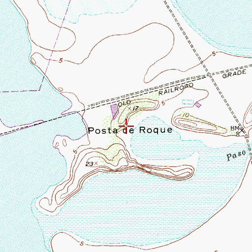 Topographic Map of Posta de Roque, TX