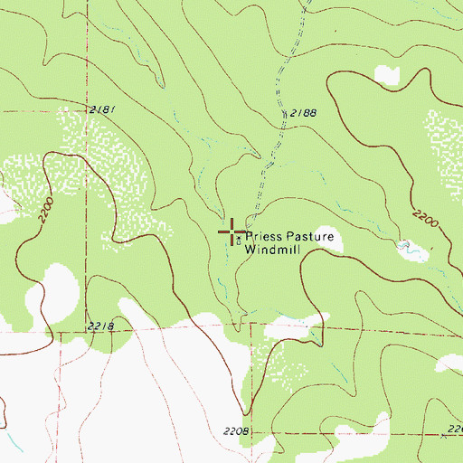Topographic Map of Priess Pasture Windmill, TX