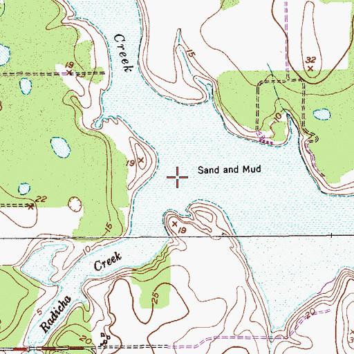 Topographic Map of Radicha Creek, TX