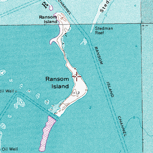 Topographic Map of Ransom Island, TX