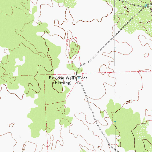 Topographic Map of Raviosa Well, TX