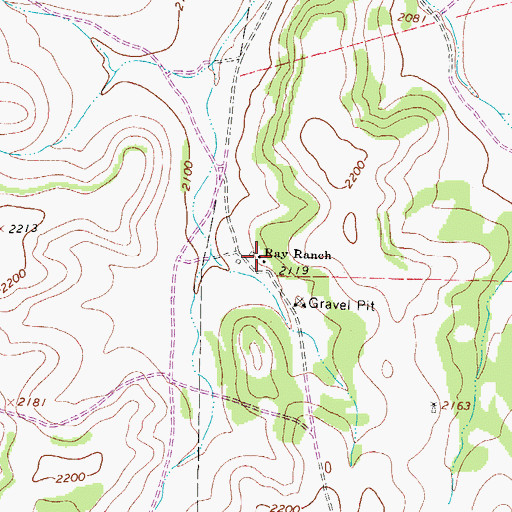 Topographic Map of Ray Ranch, TX