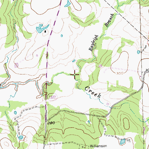 Topographic Map of Rayleigh Branch, TX