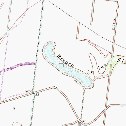 Topographic Map of Resaca de las Flores, TX