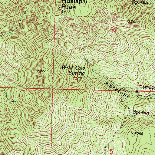 Topographic Map of Wild Cow Spring, AZ