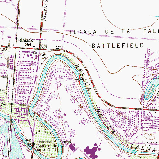 Topographic Map of Resaca de la Palma, TX