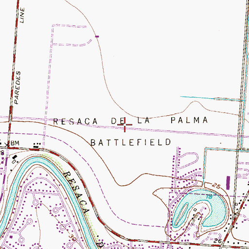 Topographic Map of Resaca de la Palma Battlefield, TX