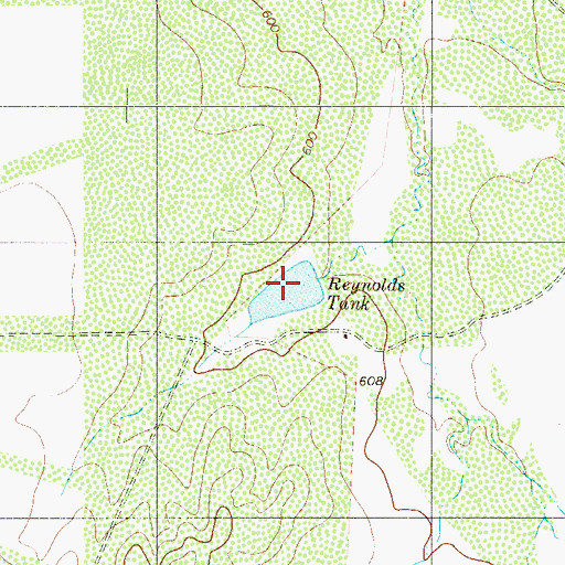 Topographic Map of Reynolds Tank, TX