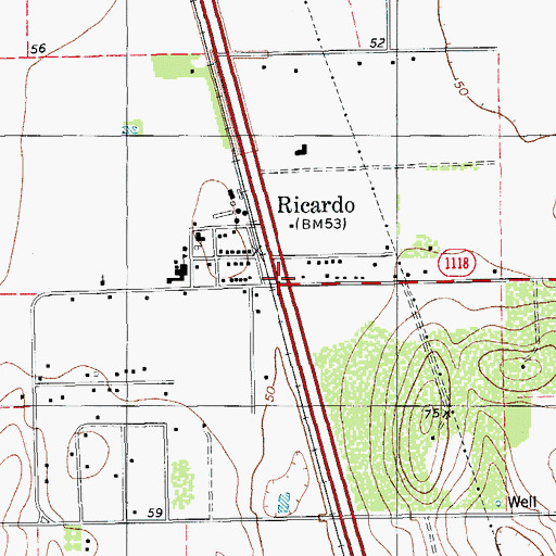 Topographic Map of Ricardo, TX
