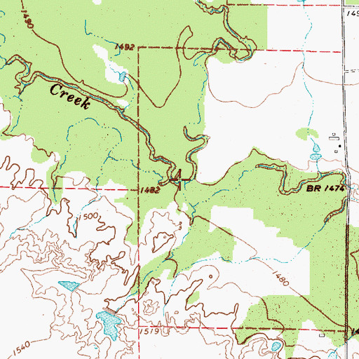 Topographic Map of Rice Springs Branch, TX