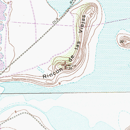 Topographic Map of Rincon de las Viejas, TX