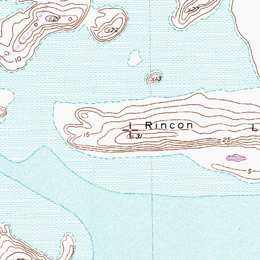 Topographic Map of Rincon Largo, TX