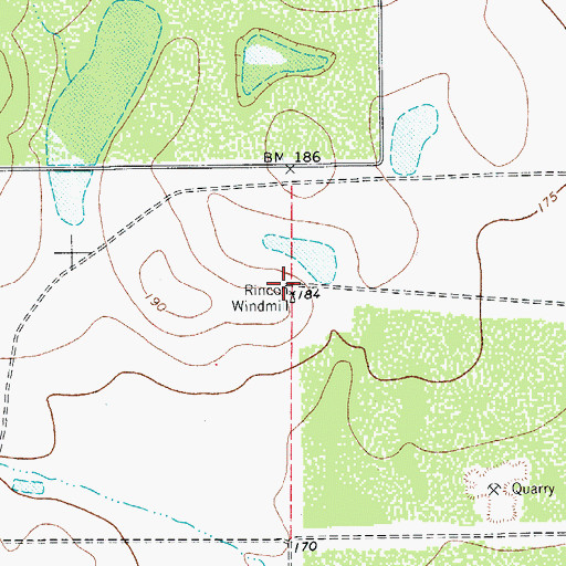 Topographic Map of Rincon Windmill, TX