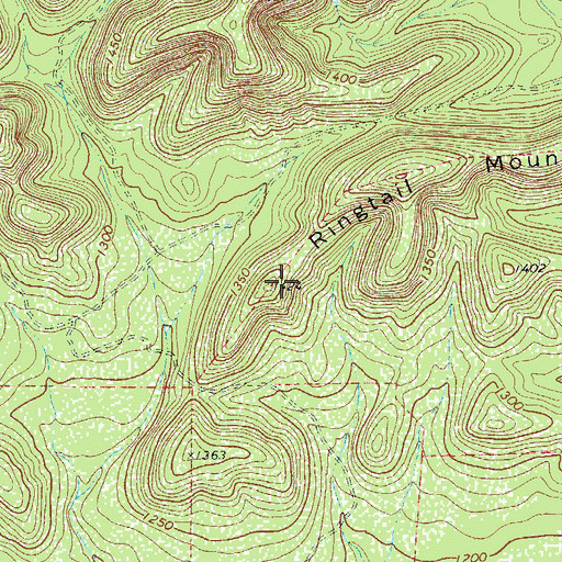 Topographic Map of Ringtail Mountain, TX