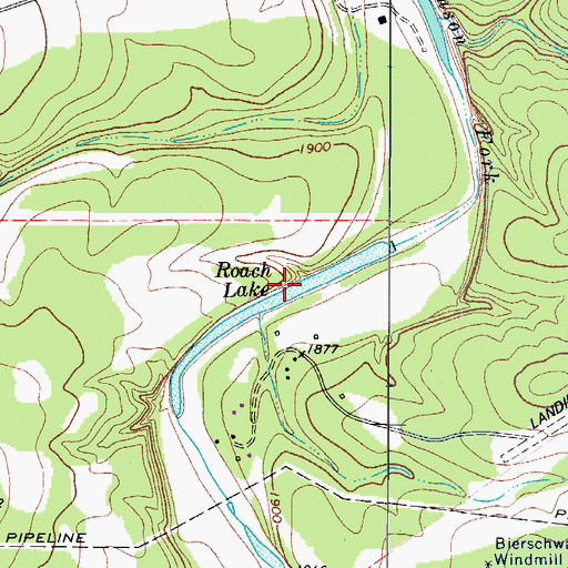 Topographic Map of Roach Lake, TX