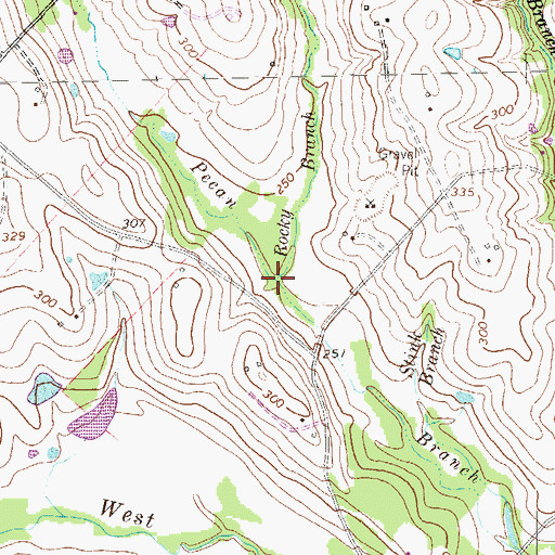 Topographic Map of Rocky Branch, TX